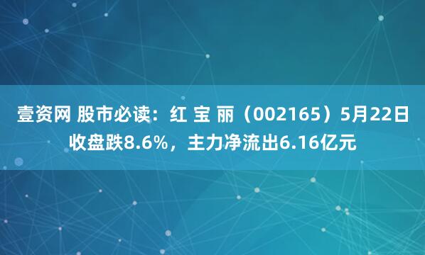 壹资网 股市必读：红 宝 丽（002165）5月22日收盘跌8.6%，主力净流出6.16亿元