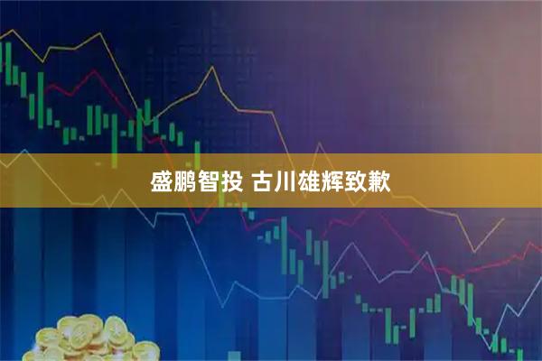 盛鹏智投 古川雄辉致歉