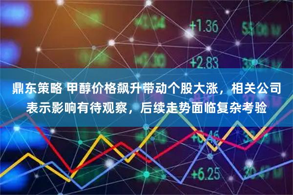 鼎东策略 甲醇价格飙升带动个股大涨，相关公司表示影响有待观察，后续走势面临复杂考验